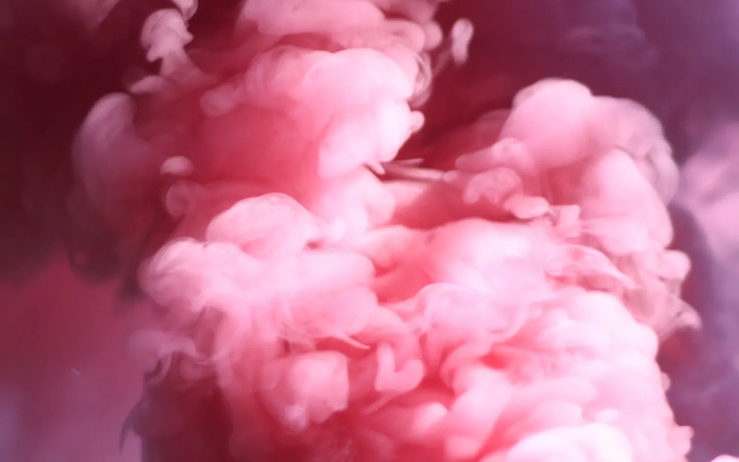 The Most Dis-Connected Brands of 2018