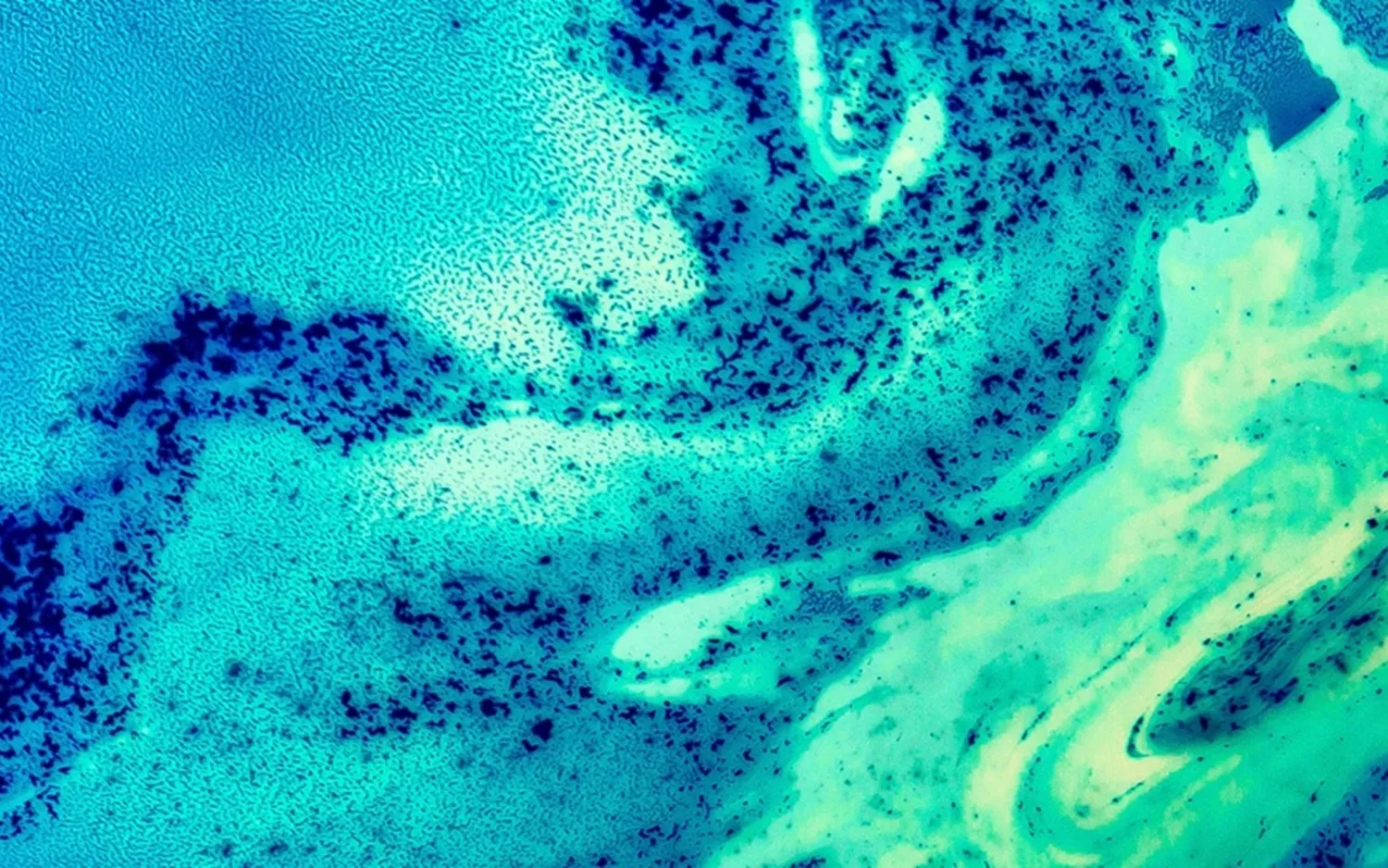 5 automation tracks for email marketing