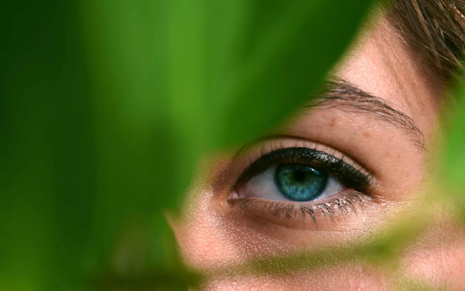 Providing clarity for advisers on sustainable investing