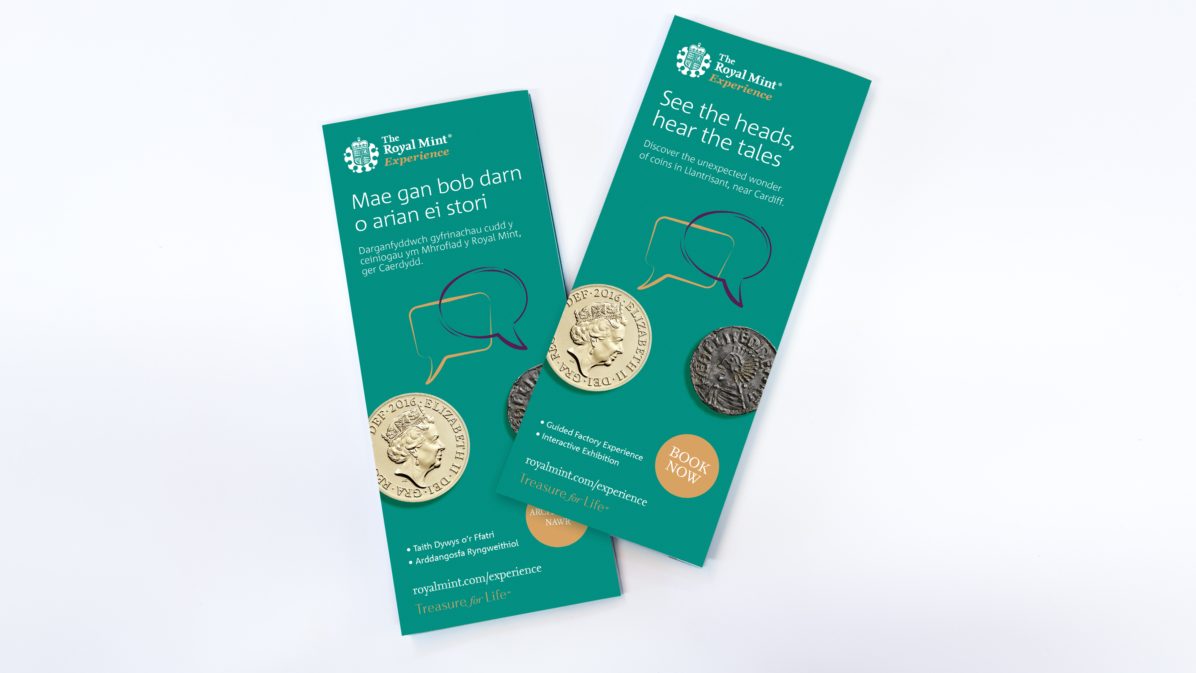 Gallery image showcasing TRM Leaflet Case Study Dimensions