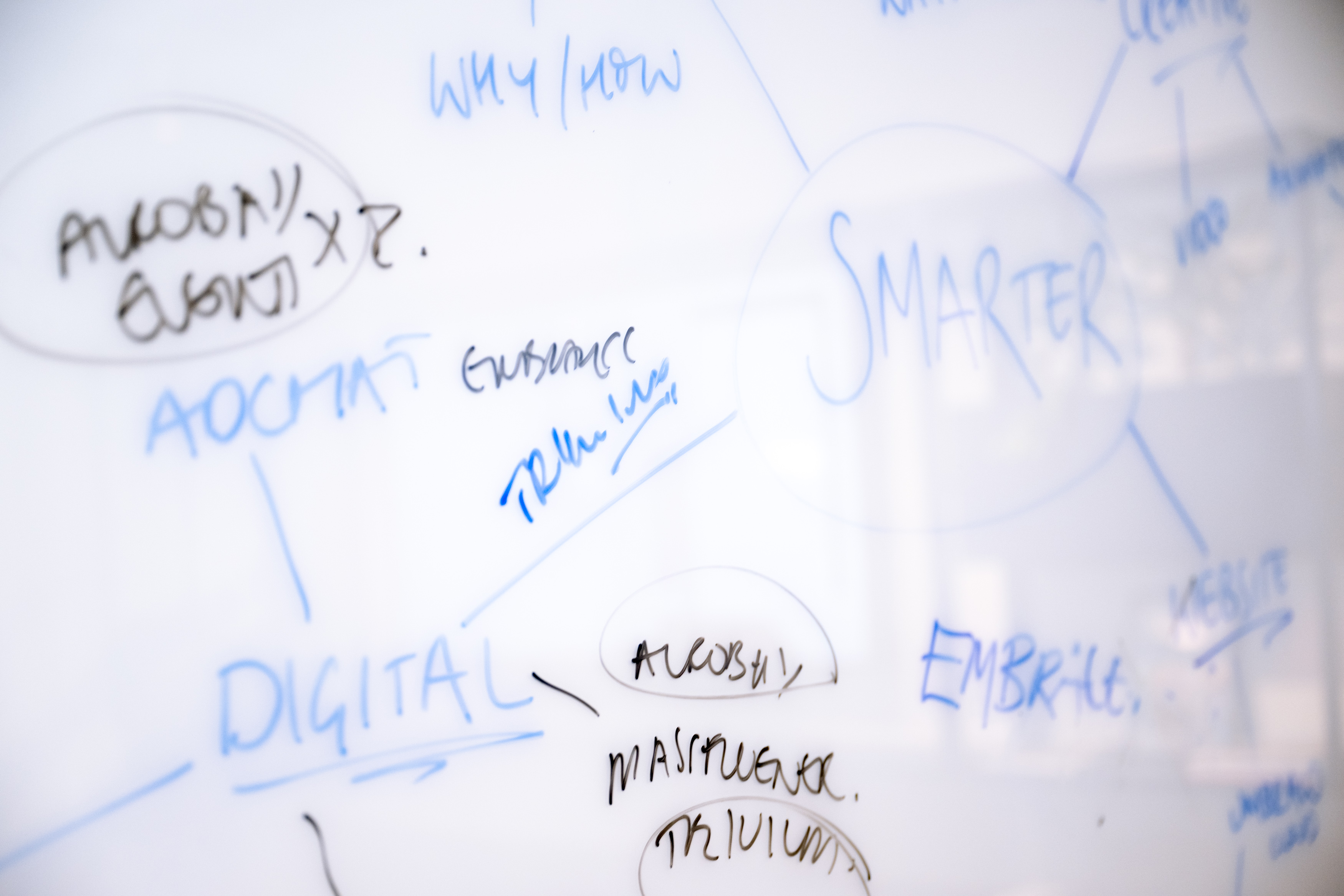 SEO, PPC and AI Visibility